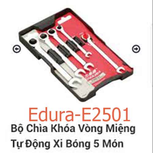 Bộ chìa khóa vòng miệng tự động xi bóng 5 món 8,10,12,13,14mm Edura-E2501