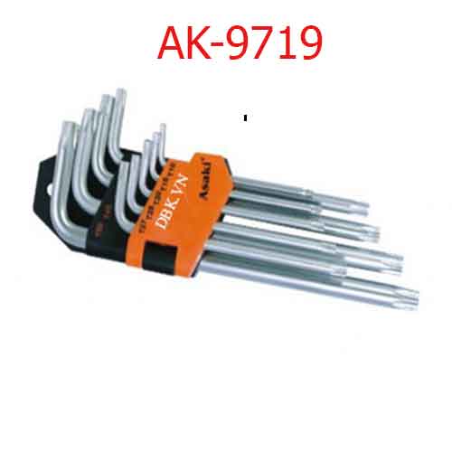 Bộ lục giác bi xi bóng AK-9719