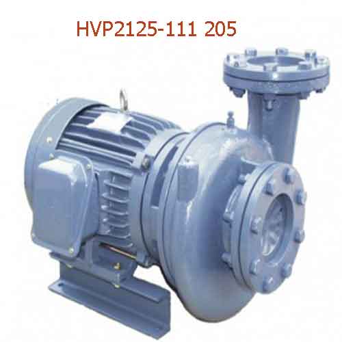 Bơm ly tâm dạng xoáy đầu gang  HVP2125-111 205