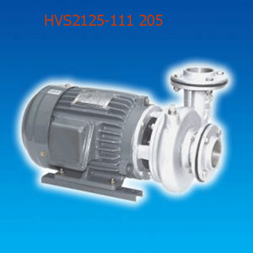 Bơm ly tâm dạng xoáy đầu inox HVS2125-111 205