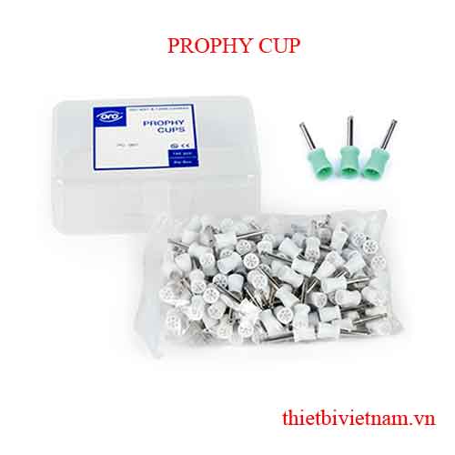 ĐÀI CAO SU ĐÁNH BÓNG RĂNG ORO - PROPHY CUP