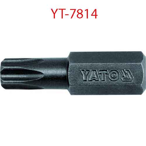 Đầu mũi vít sao nổi 1/4