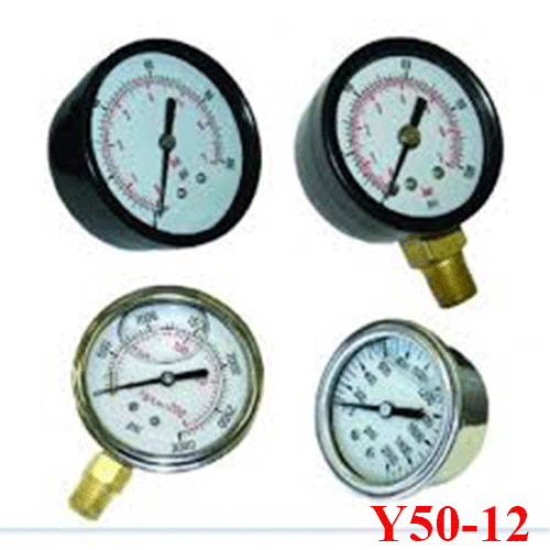 Đồng hồ đo áp Y50-12 ( 10x11)