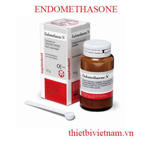 ENDOMETHASONE - DUNG DỊCH TRÁM BÍT ỐNG TỦY