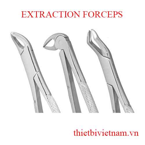 EXTRACTION FORCEPS - KÌM NHỔ RĂNG