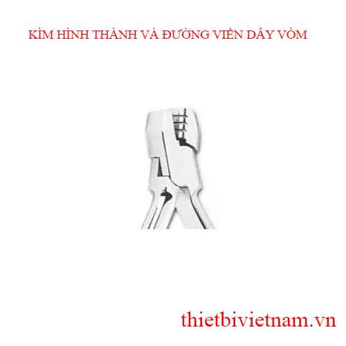 KÌM HÌNH THÀNH VÀ ĐƯỜNG VIỀN DÂY VÒM