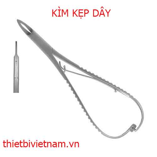 KÌM KẸP DÂY (REGENCY MATHIEU)