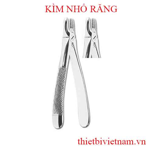 KÌM NHỔ RĂNG (EXTRACTING FORCEPS)